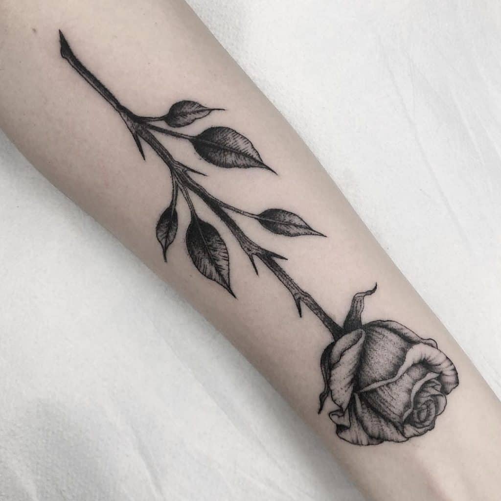 Etching Rose Tattoo