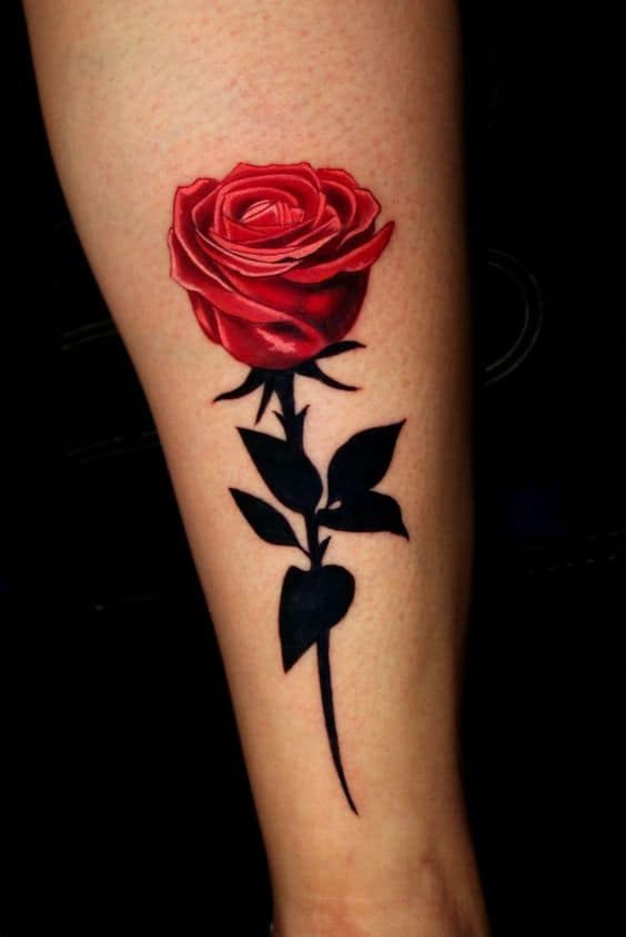 Illustrative Rose Tattoo