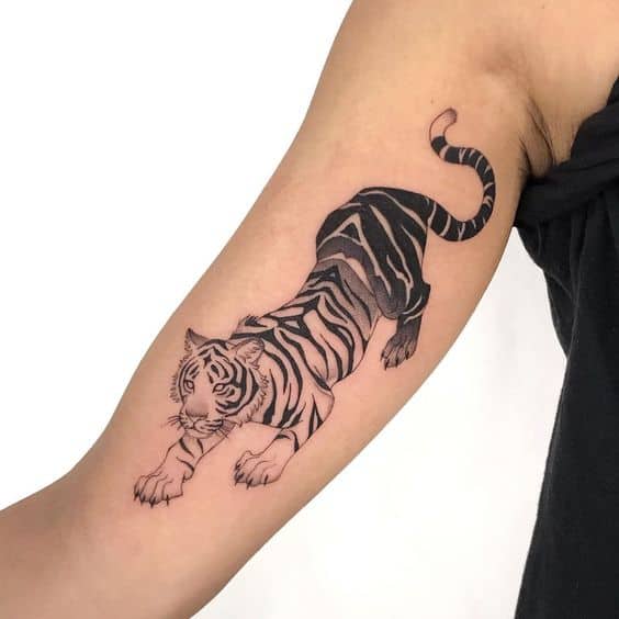 Black-work Tiger Tattoo 