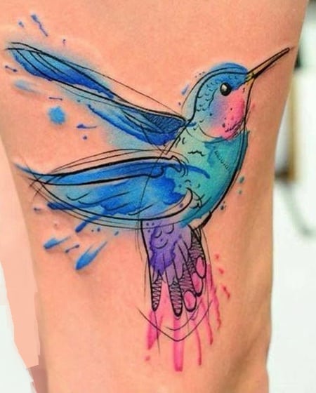 Hummingbird Sketch Tattoo