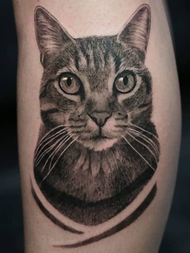 Realistic Black & Grey Cat Tattoo