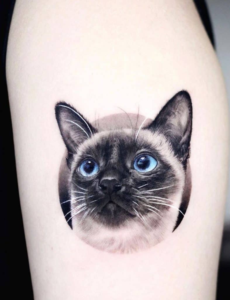 Realistic Cat Tattoo