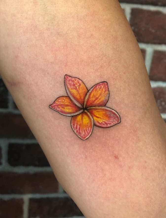 Plumeria Tattoos Tattoo Styles Meanings More
