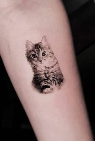 Single Needle Cat Tattoo