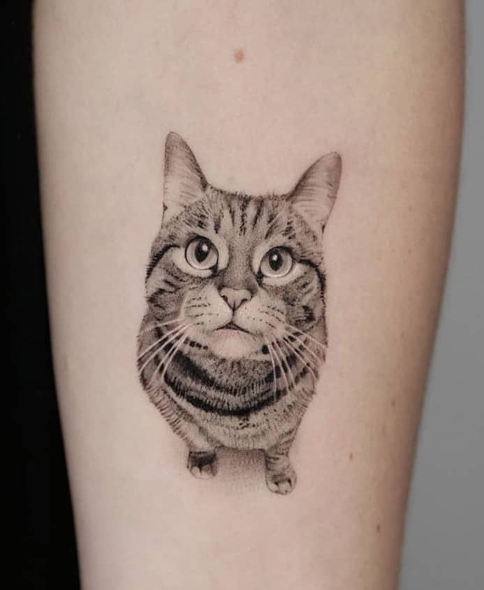 Single Needle Cat Tattoo