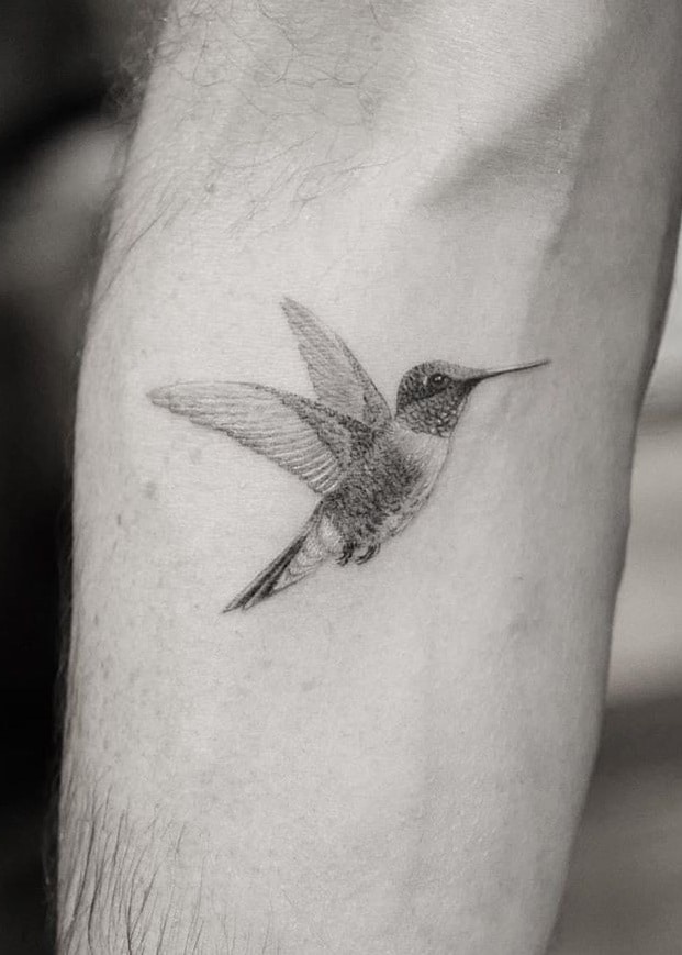 Single Needle Hummingbird Tattoo