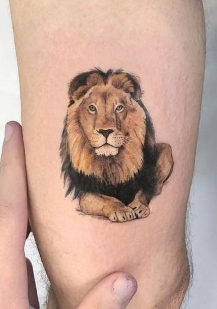 Small Lion Tattoo