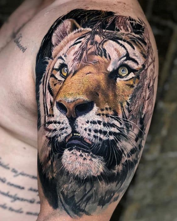 Tiger Tattoos on the Upper Arm