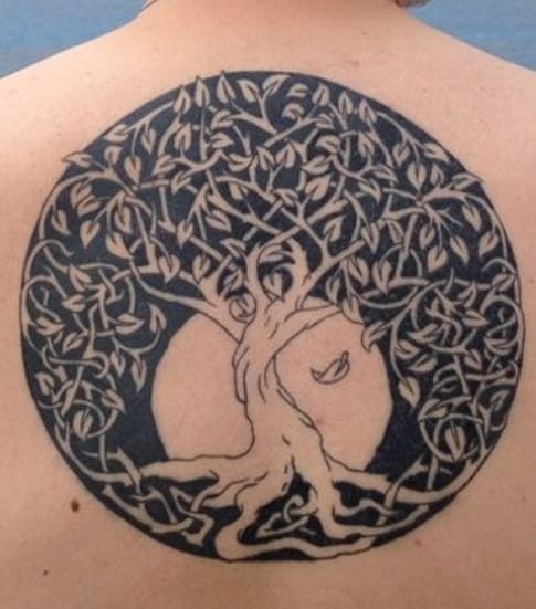 Celtic Tree of Life Tattoo
