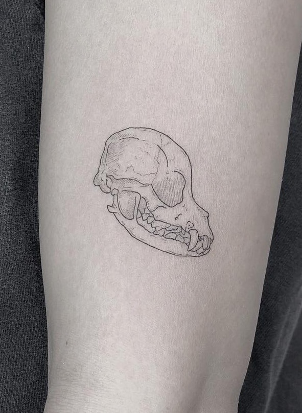 Dog Skull Tattoo
