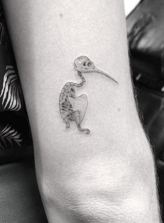 Hummingbird Skull Tattoo