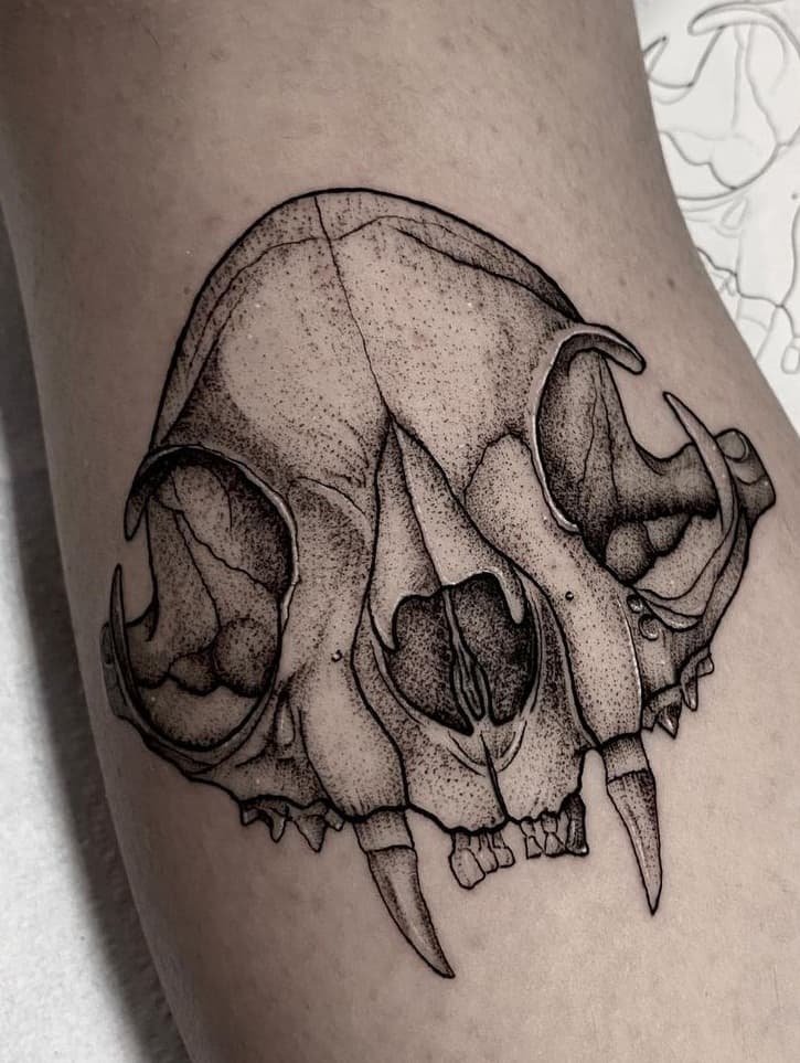 Cat Skull Tattoo