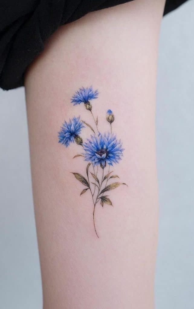Cornflower Tattoo