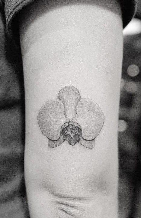 Orchid Tattoo