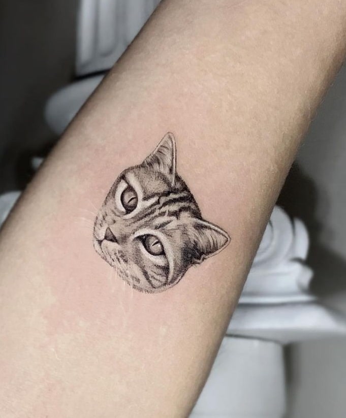 Micro-realist Cat Tattoo