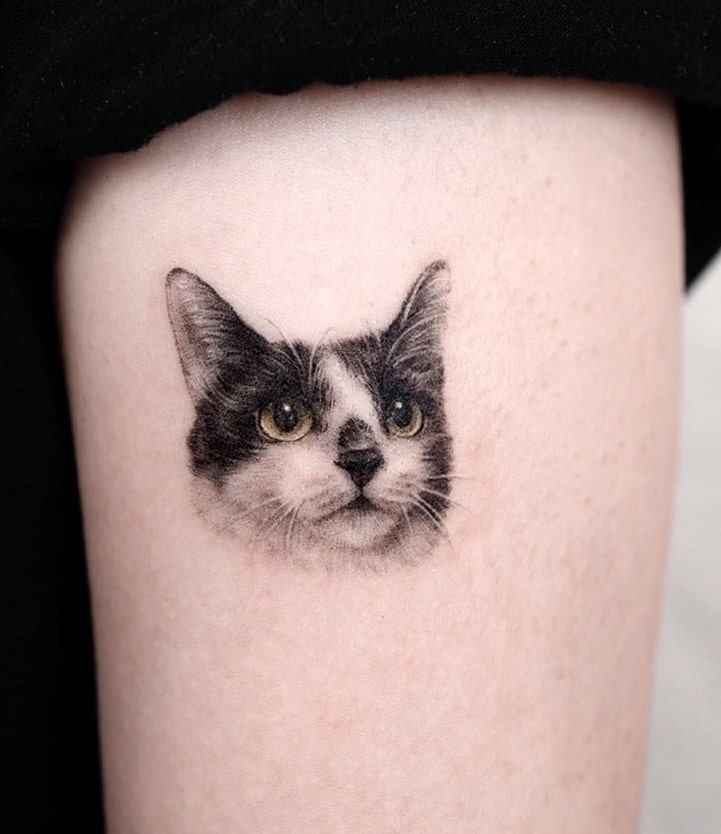 Tuxedo Cat Tattoo