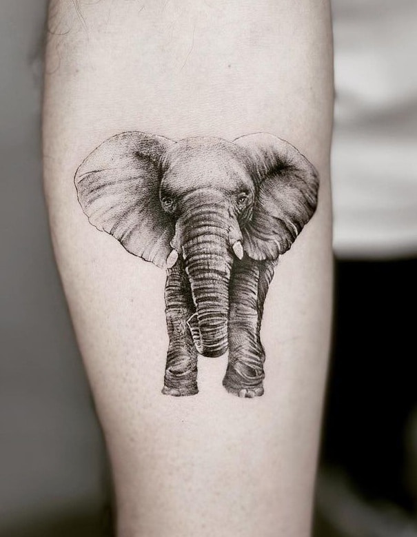 Baby Elephant Tattoo