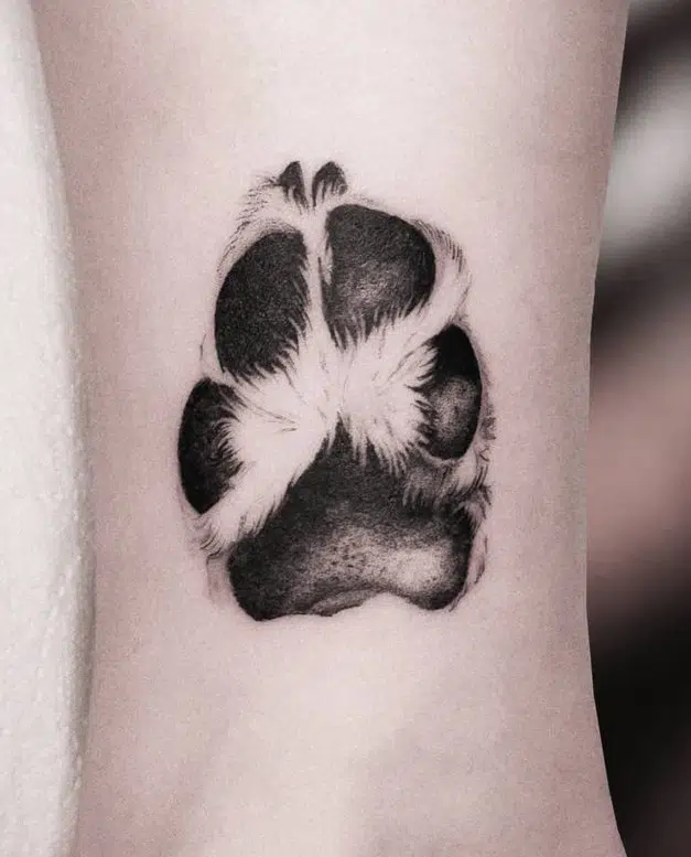 Câine Laba Tatuaj