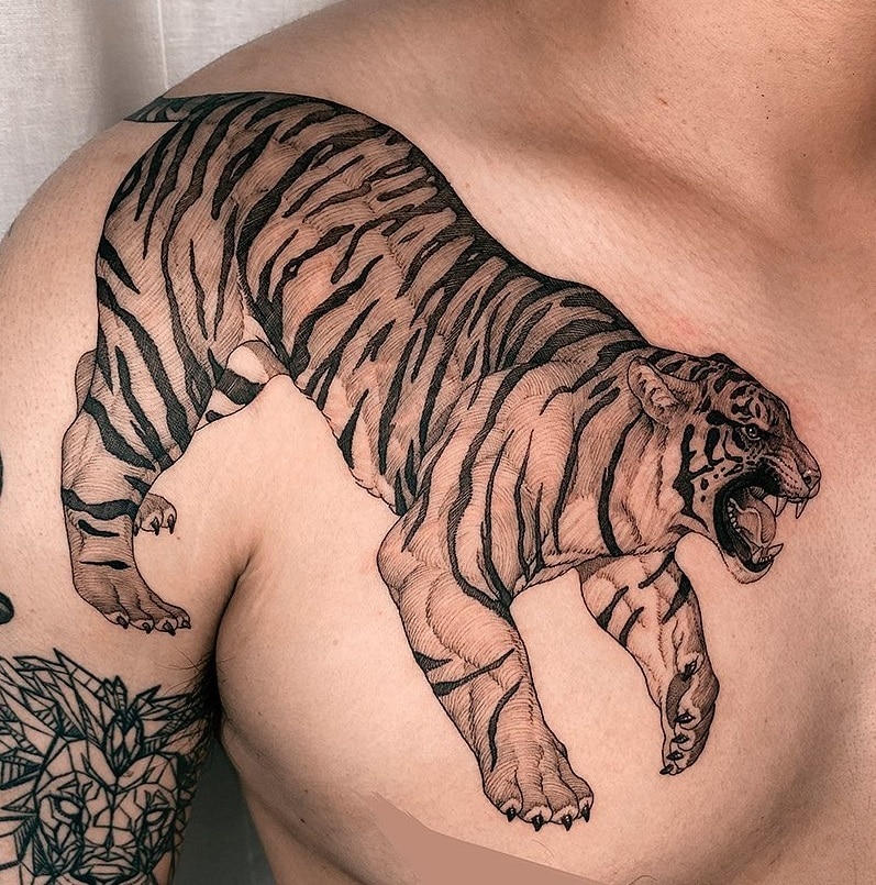 Tiger Chest Tattoo 