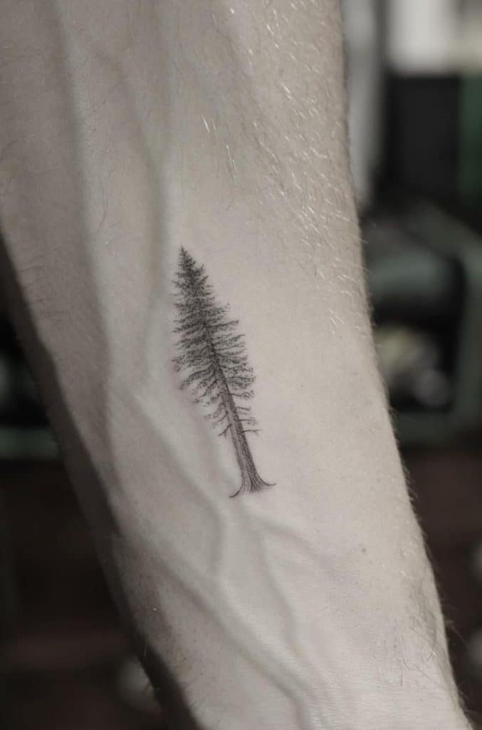 Small Tree Tattoo
