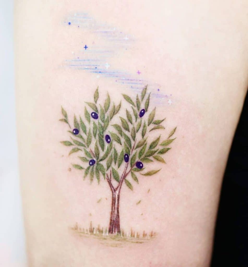 Olive Tree Tattoo