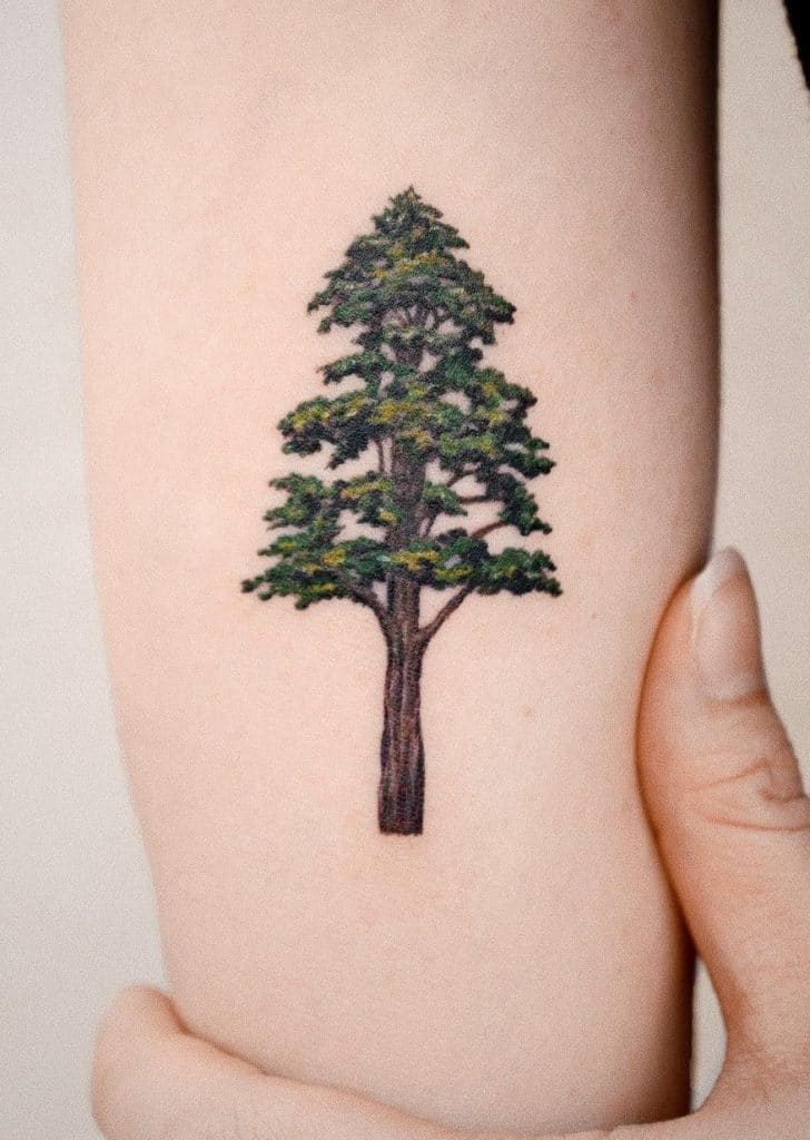 Pine Tree Tattoo