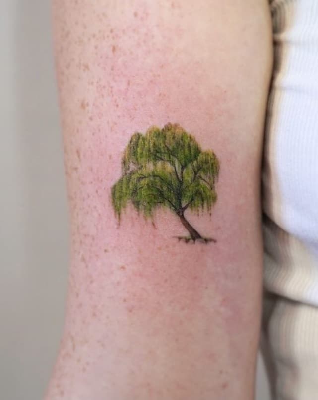 Tattoo bonsai tree Bonsai Tree