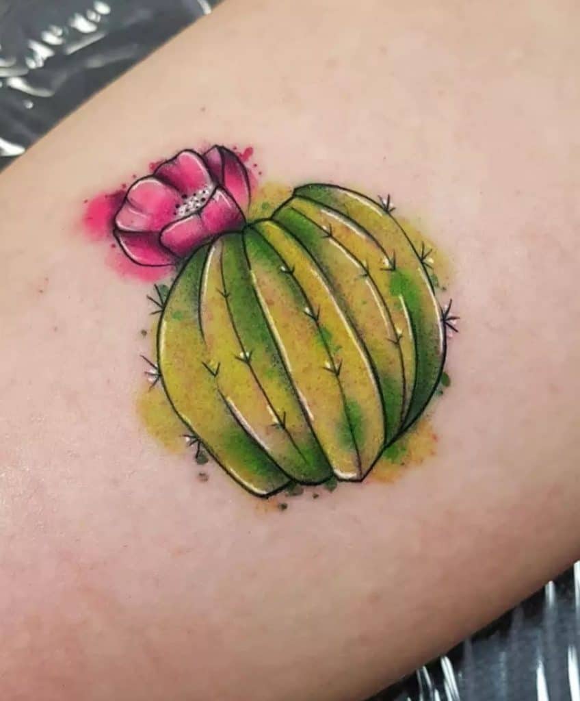 Barrel Cactus Tattoo
