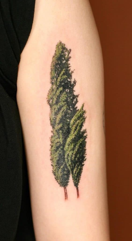 Cypress Tree Tattoo