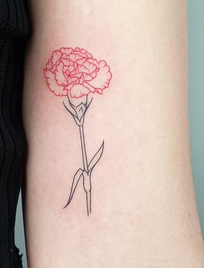 Carnation Tattoo Meanings.