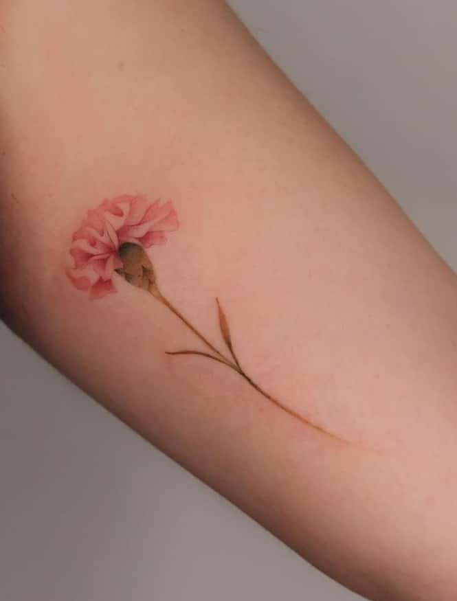 Pink Carnation Tattoo