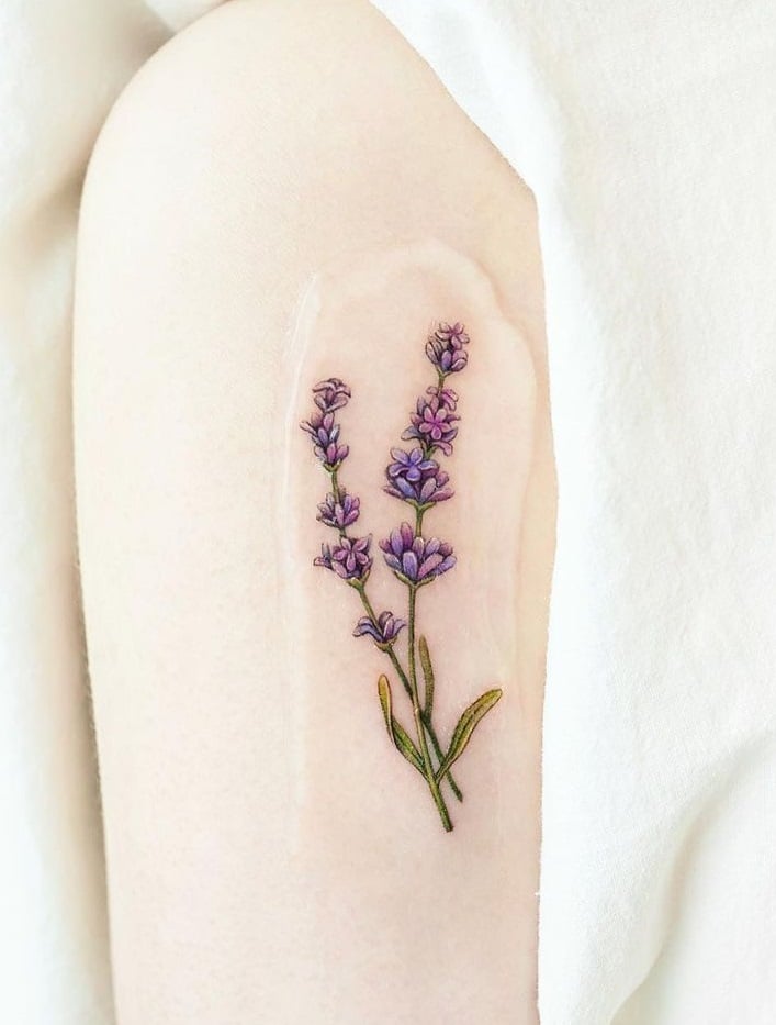 Realistic Lavender Tattoo