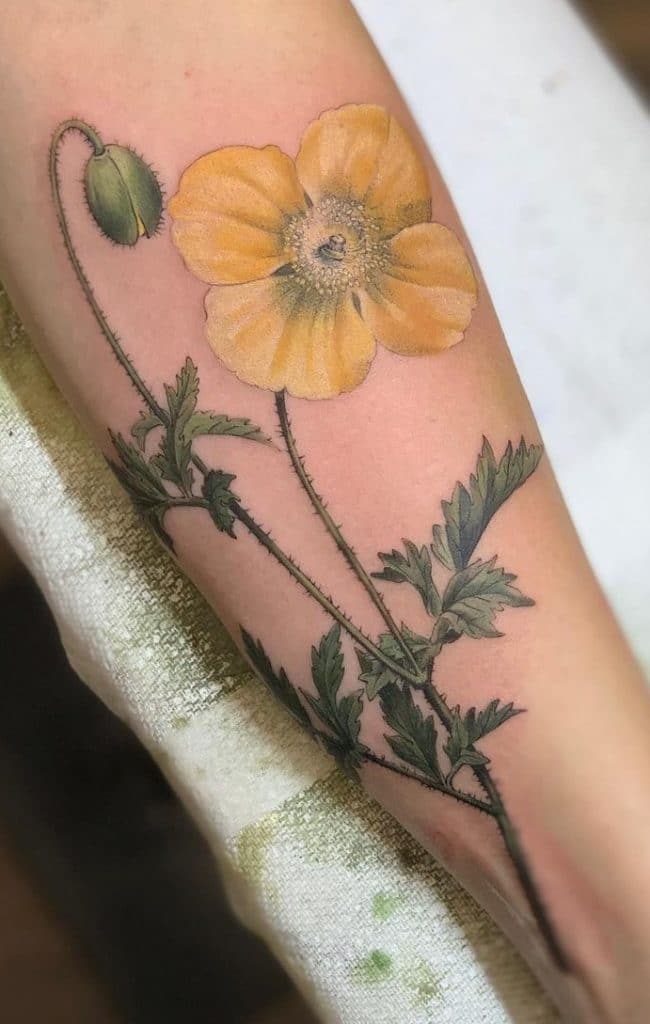 Yellow Poppy Tattoo