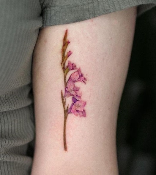 Pink Gladiolus Tattoo 