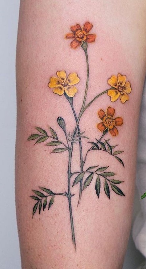 Red-crescent Marigold Tattoo