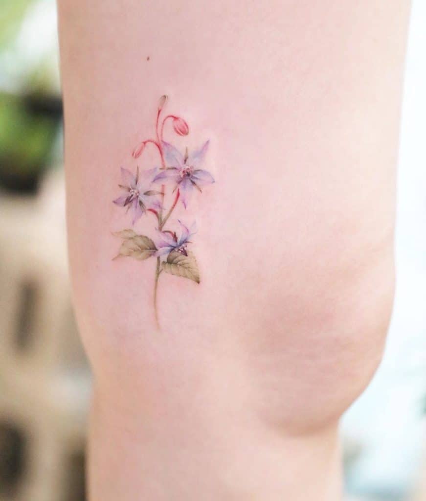 Borage Flower Tattoo