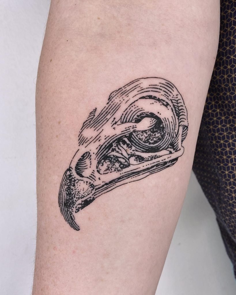 Hawk Skull Tattoo